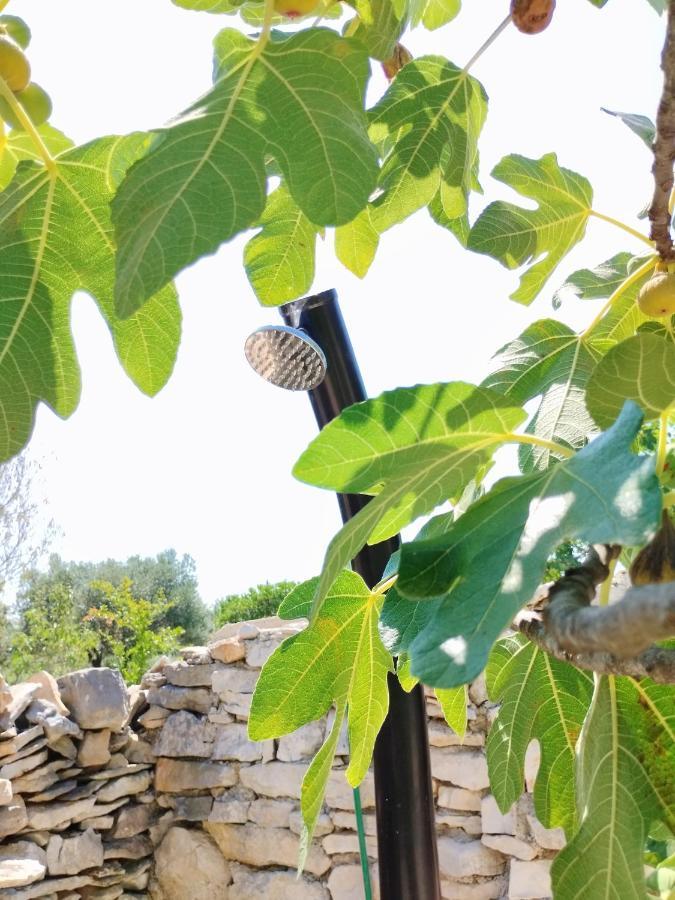 Marti'S House In The Olive Grove Lejlighed Fažana Eksteriør billede