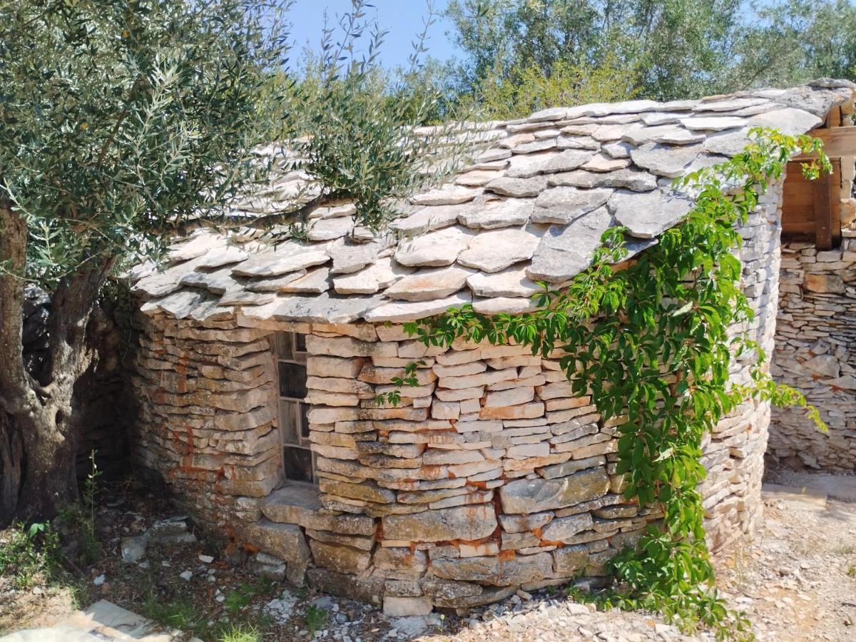 Marti'S House In The Olive Grove Lejlighed Fažana Eksteriør billede
