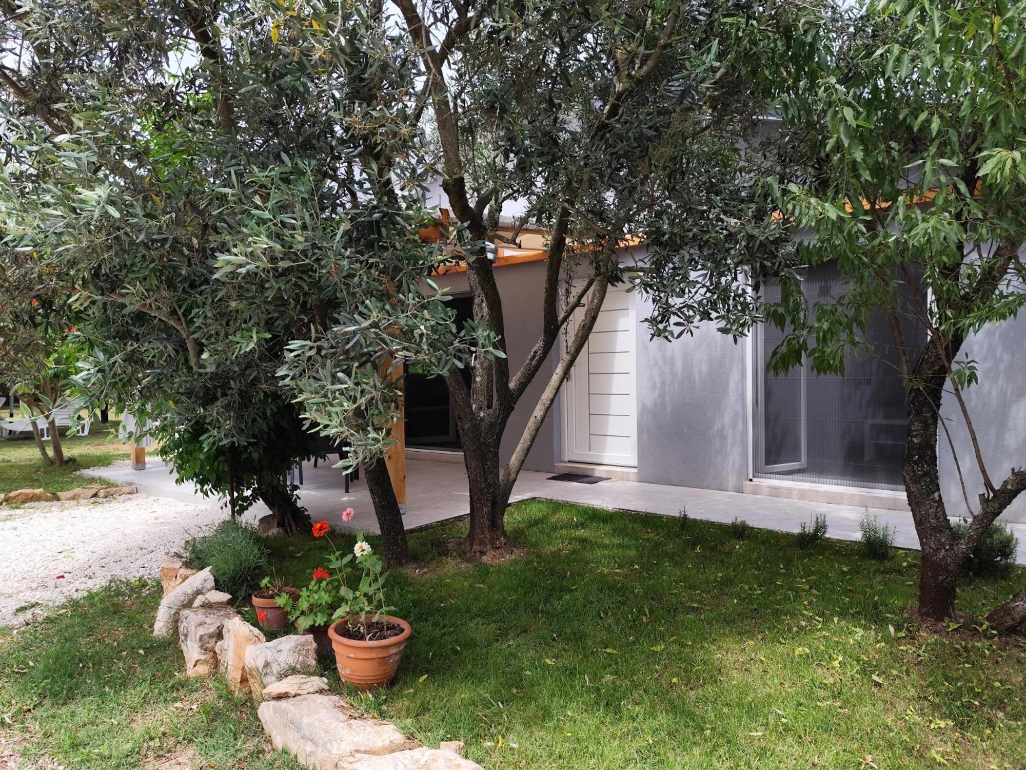Marti'S House In The Olive Grove Lejlighed Fažana Eksteriør billede
