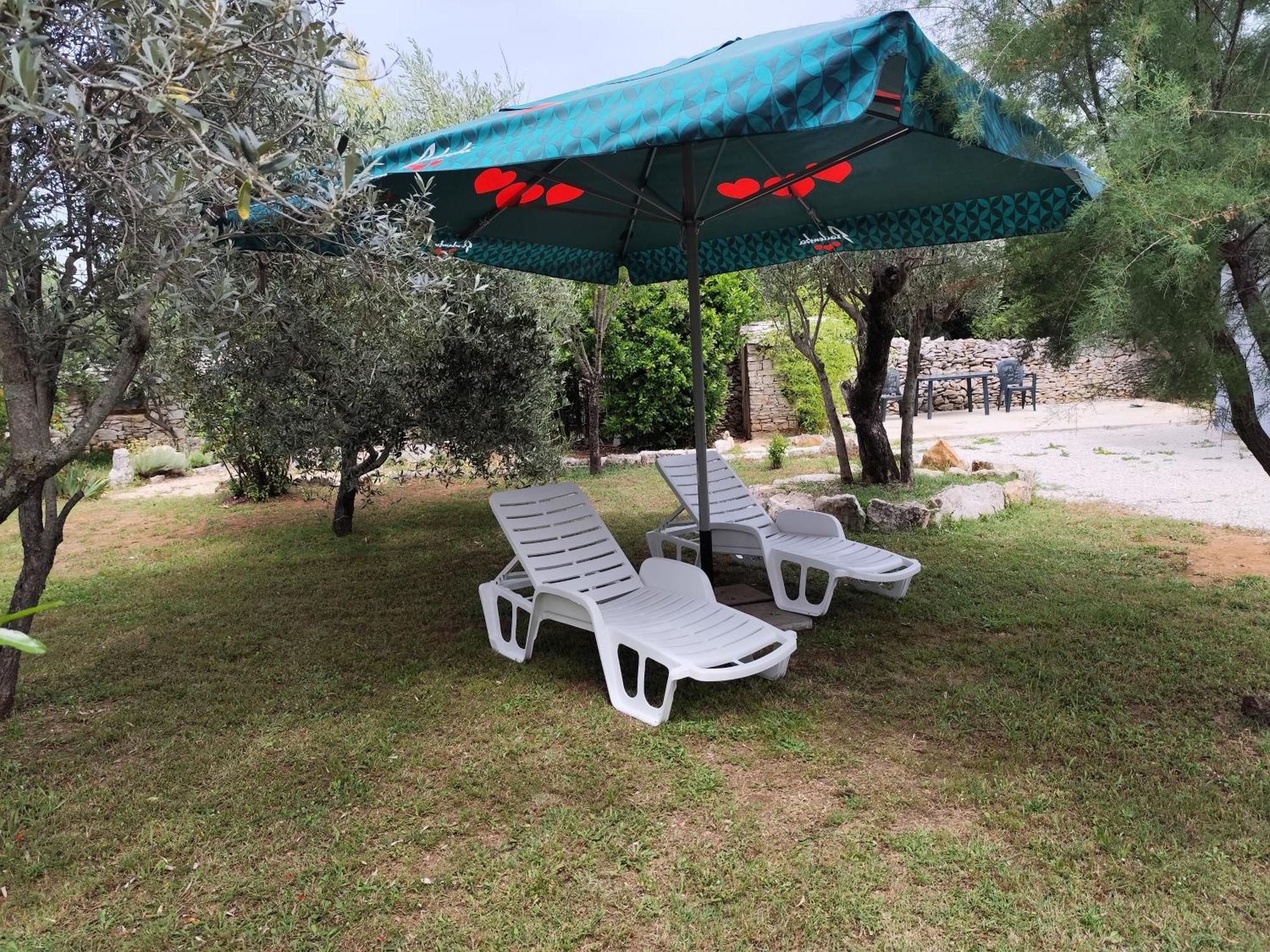 Marti'S House In The Olive Grove Lejlighed Fažana Eksteriør billede