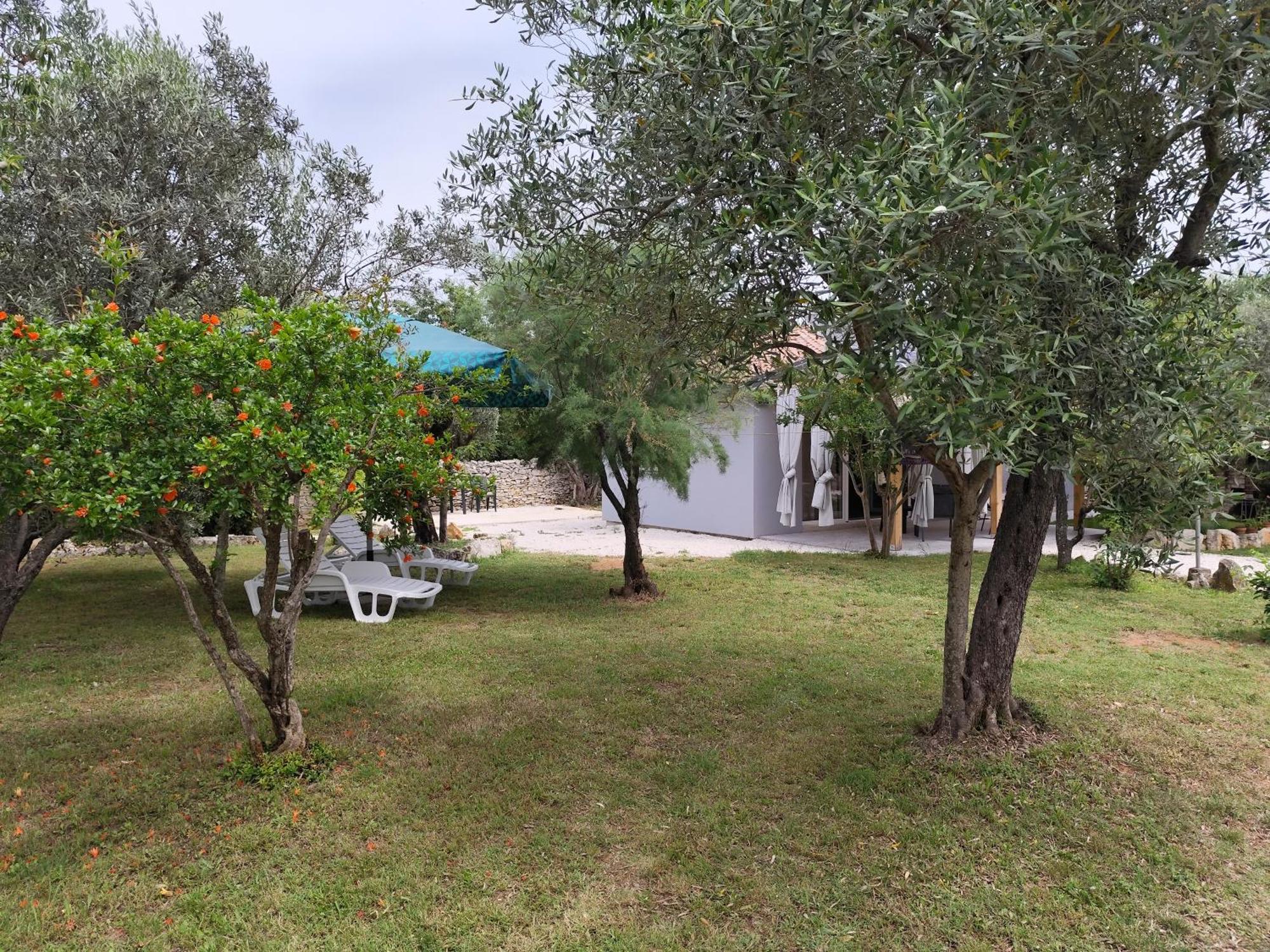 Marti'S House In The Olive Grove Lejlighed Fažana Eksteriør billede